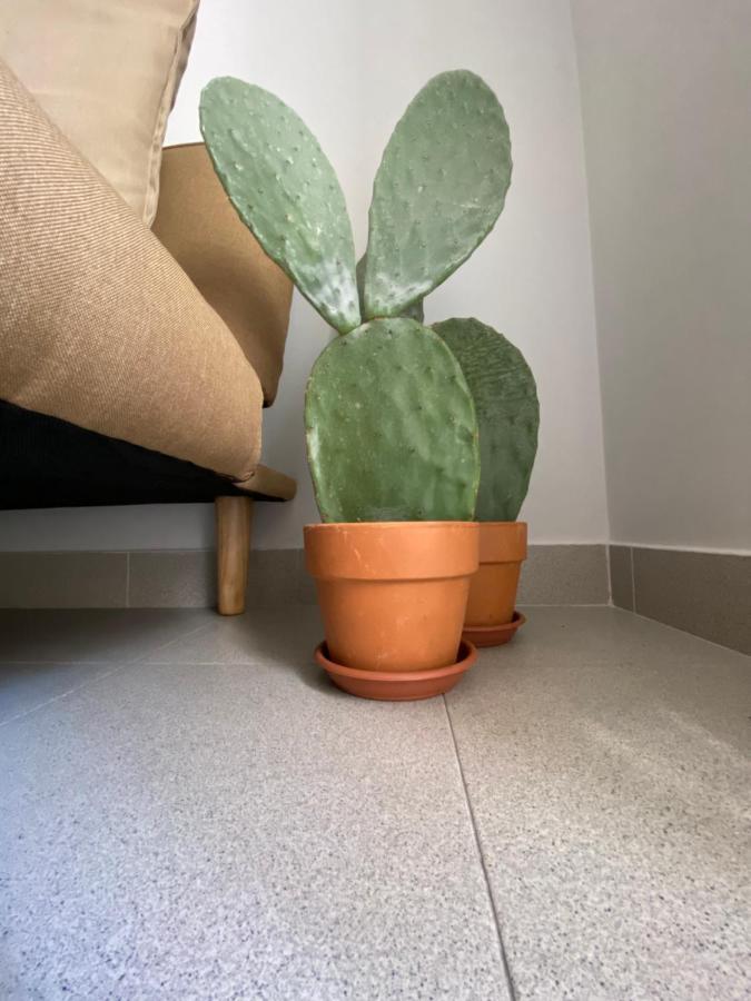 Ga #124 Home Bari Eksteriør bilde